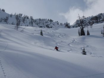 backcountry skiing