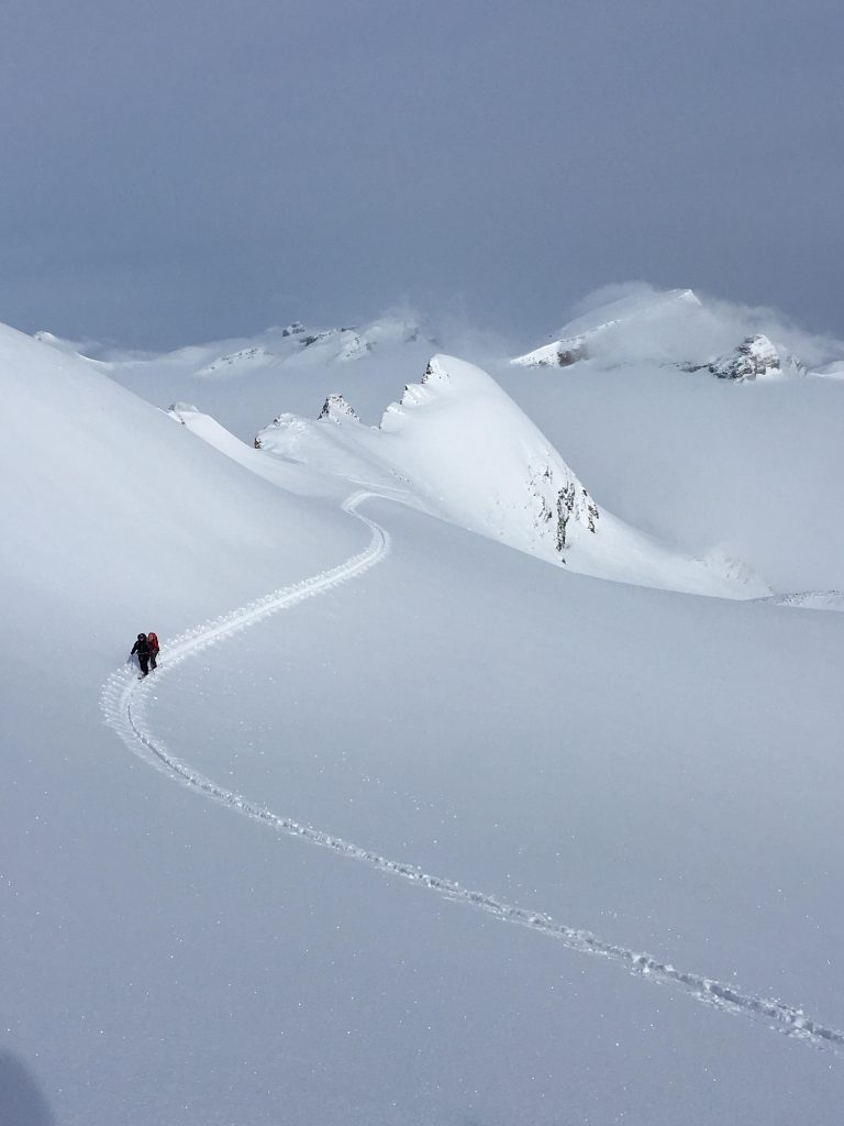 Touring in the Icefields