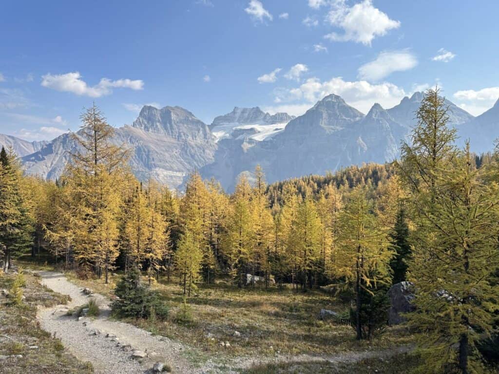 Moraine Lake & Larch Valley - Alpine Air Adventures